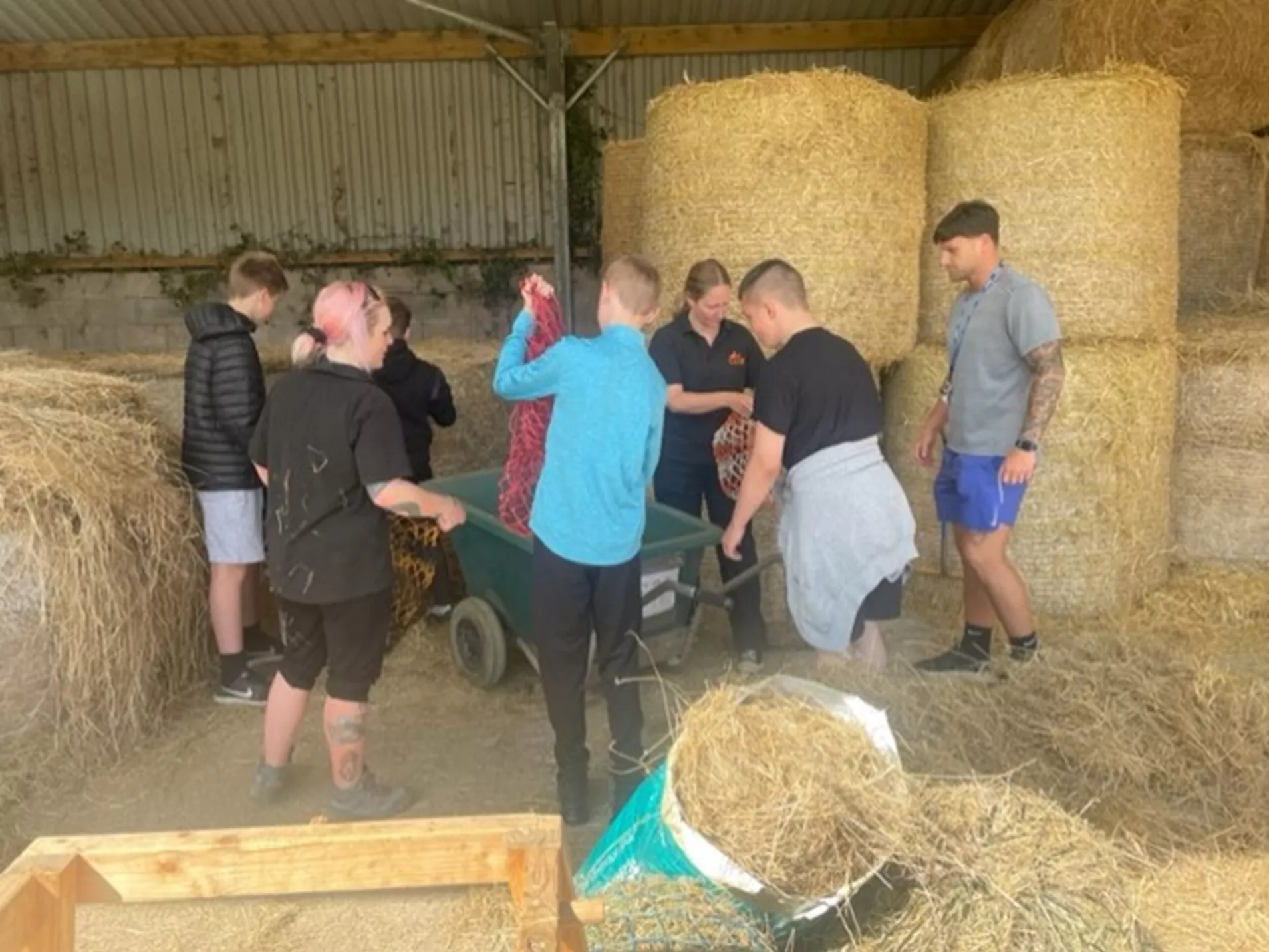 Collecting hay for the horses