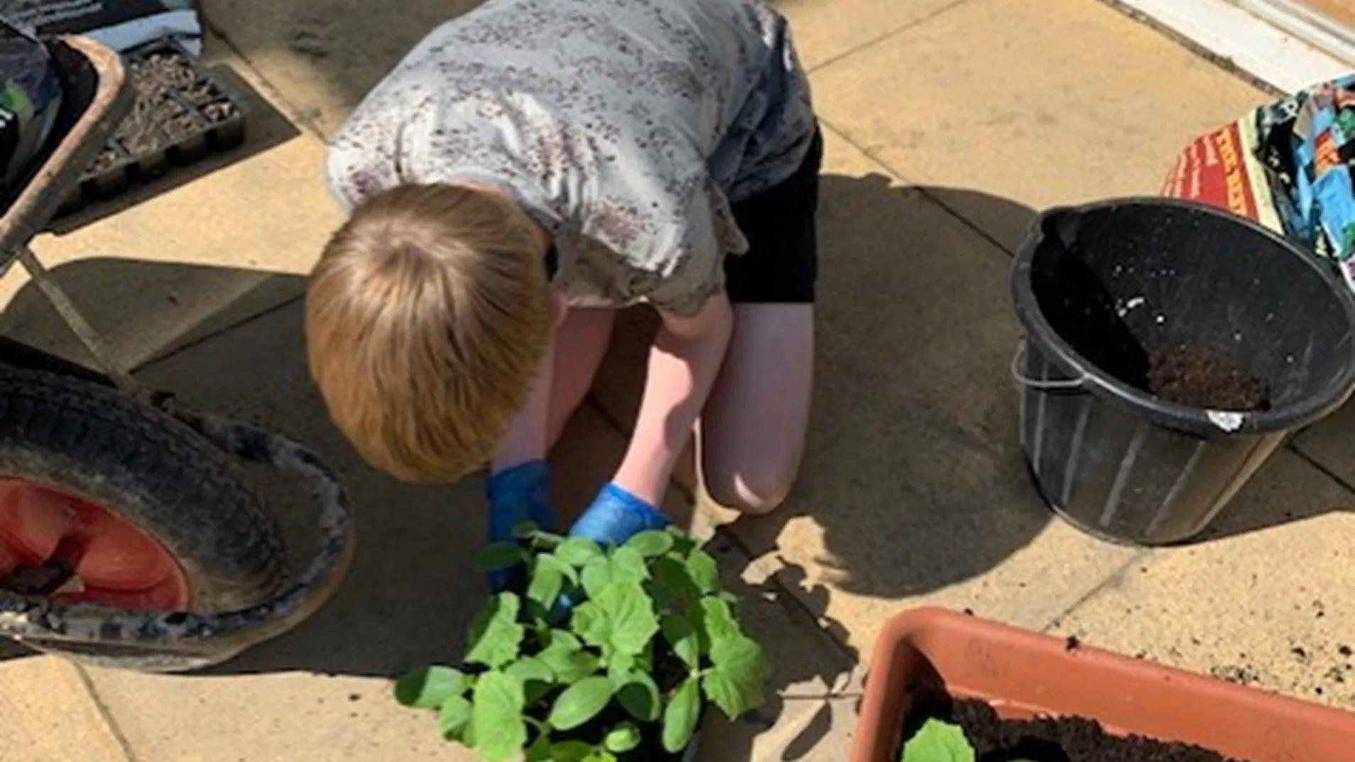 Young person planting flowers at North Lakes home